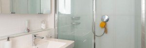 Phoenix Bathroom